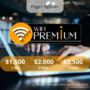 pin WiFi Premium Megared